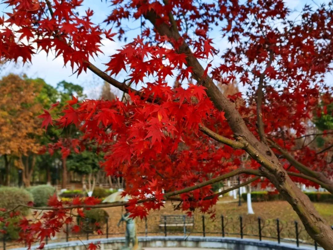 电视剧：《相爱穿梭千年》